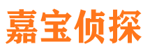 卢湾市侦探公司